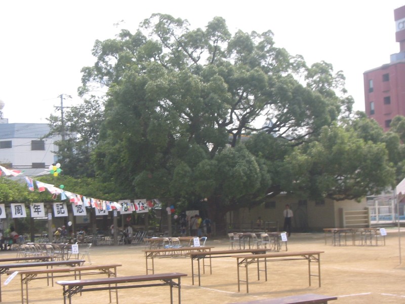 c0014416_0541353.jpg