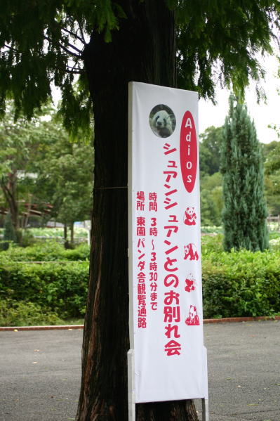 a0017618_22534014.jpg