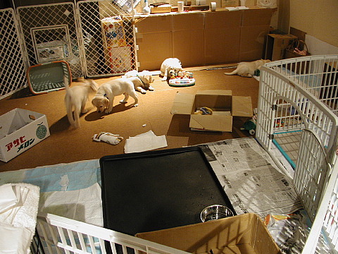 e0006018_22444787.jpg