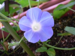 b0044528_23295175.jpg