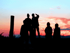 d0029829_15422544.gif