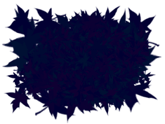 d0029829_15425770.gif
