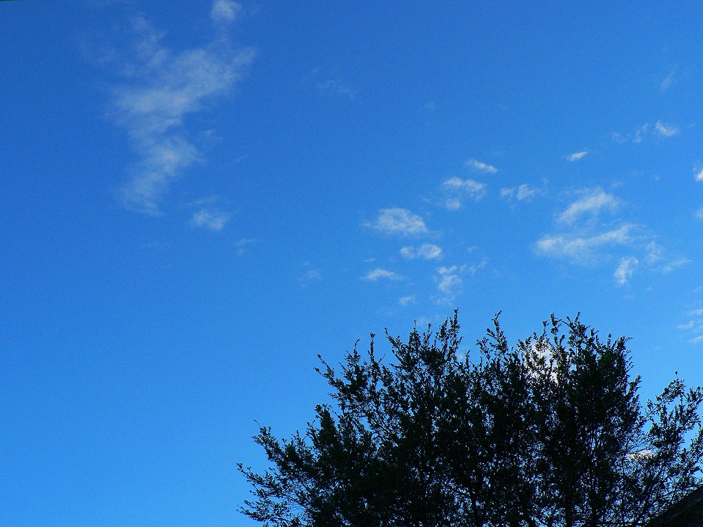d0066031_20283590.jpg