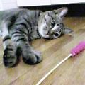 c0025840_23312021.jpg