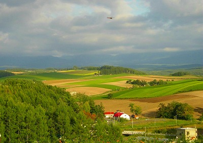 a0022041_22185033.jpg