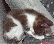 b0039246_18495818.jpg