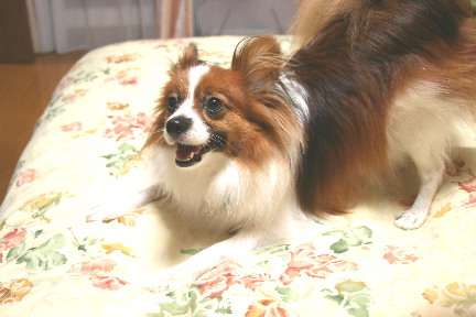 d0013149_0152030.jpg