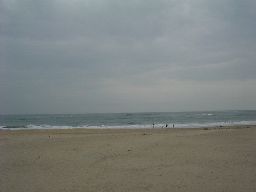 d0043161_1650101.jpg