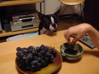 c0032567_23103543.jpg