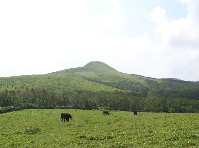 c0042869_21413595.jpg