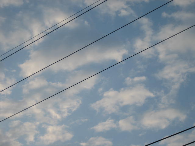 e0051194_10574645.jpg