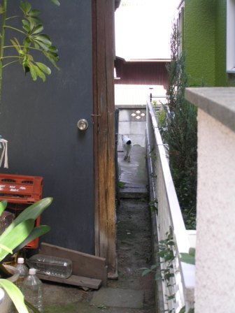 c0034595_20491814.jpg