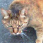 e0040602_226899.jpg