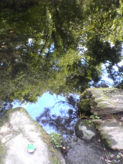 c0012204_1431886.jpg