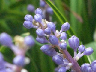 b0061107_14565339.jpg