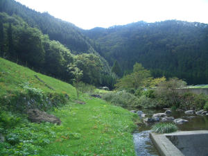 c0062315_1434010.jpg