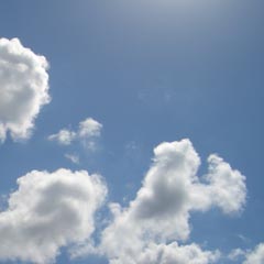 c0036617_7533012.jpg