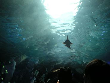 c0050419_22172348.jpg