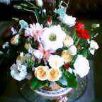 c0050522_21541617.jpg