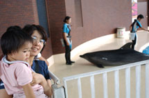 b0056924_11121094.jpg