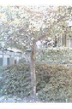 c0011446_21542723.jpg