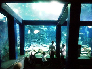 d0058958_0475616.jpg