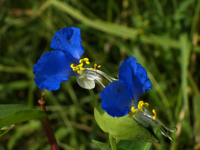 c0025167_20494417.jpg