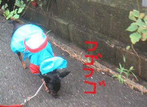 c0012571_12315088.gif