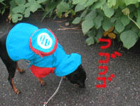 c0012571_1232512.gif