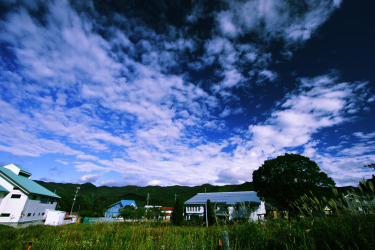 c0030874_8194525.jpg