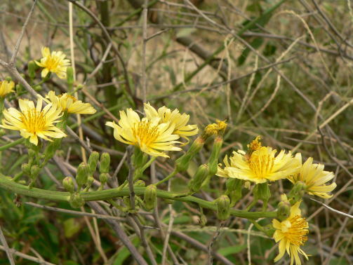 a0015815_21335241.jpg