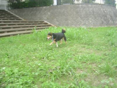e0006428_3443329.jpg