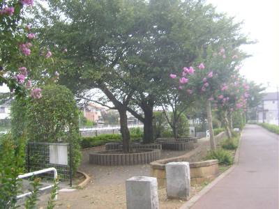 e0006428_3495118.jpg