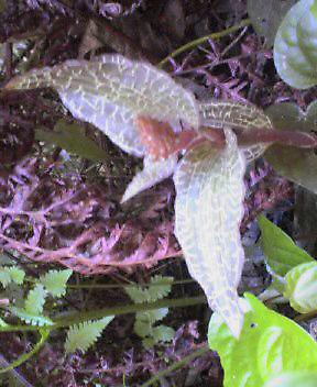 d0053930_736345.jpg