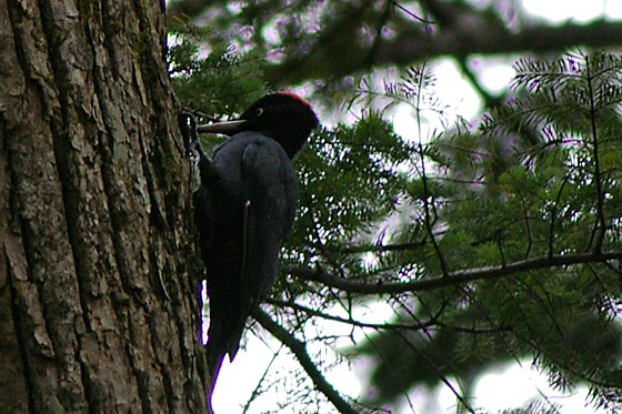 e0025030_1440576.jpg