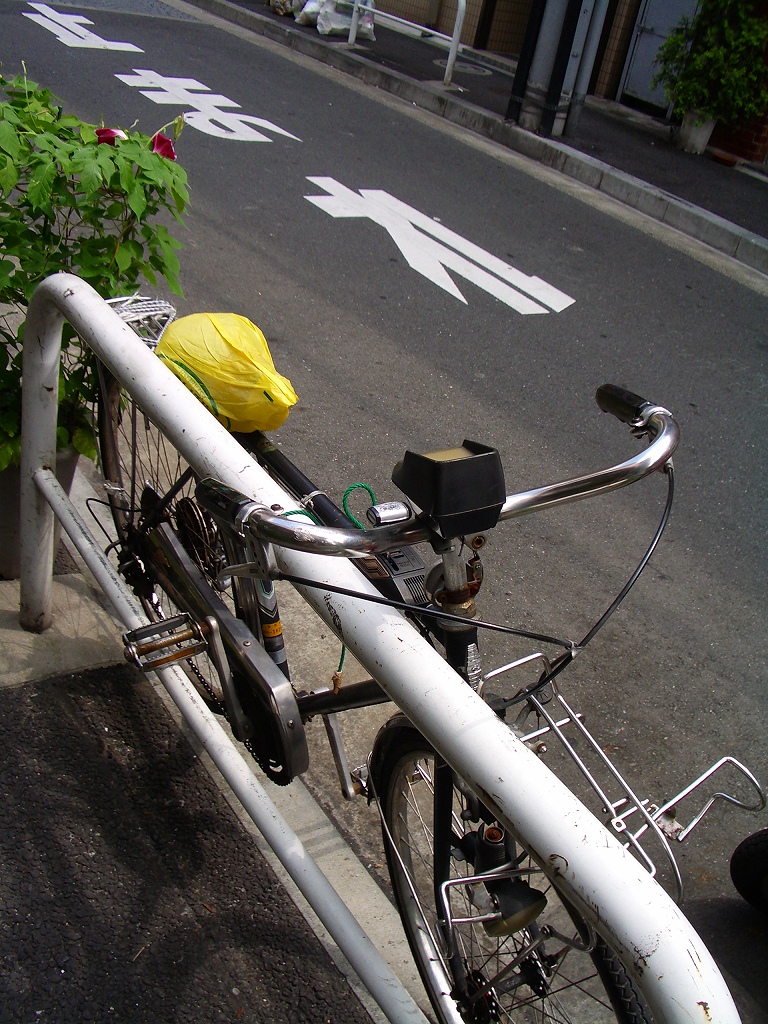 d0066031_2242077.jpg
