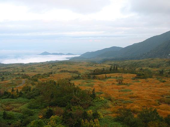 e0010134_16214594.jpg