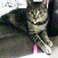 c0025840_041429.jpg