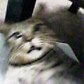 c0025840_042497.jpg