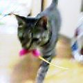 c0025840_04454.jpg