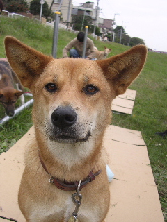 c0065643_84959.jpg