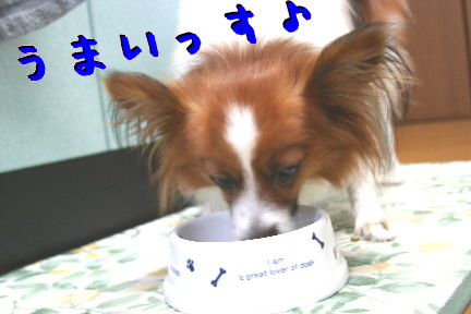 d0013149_0324426.jpg