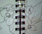 e0075450_2116953.jpg