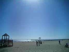 b0046462_3474965.jpg
