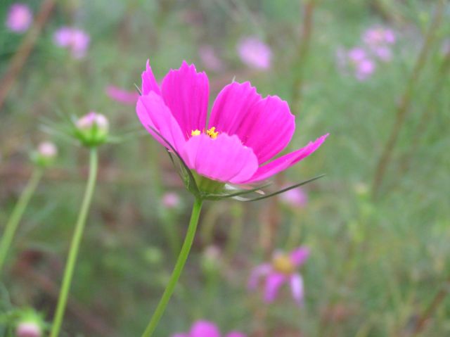 c0042869_22264566.jpg