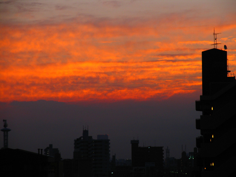 c0030874_17145753.jpg
