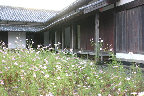 e0018678_17475673.jpg