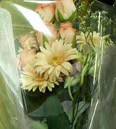 e0033384_10423166.jpg