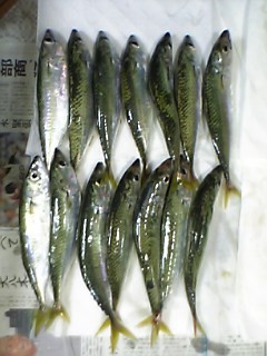 e0026586_10463940.jpg