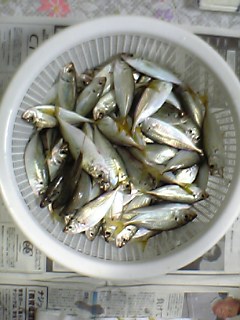 e0026586_1047413.jpg